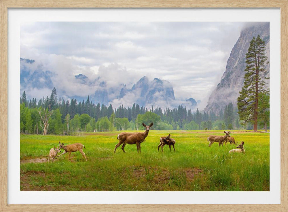 A Feeling of Ancient Time | Poster