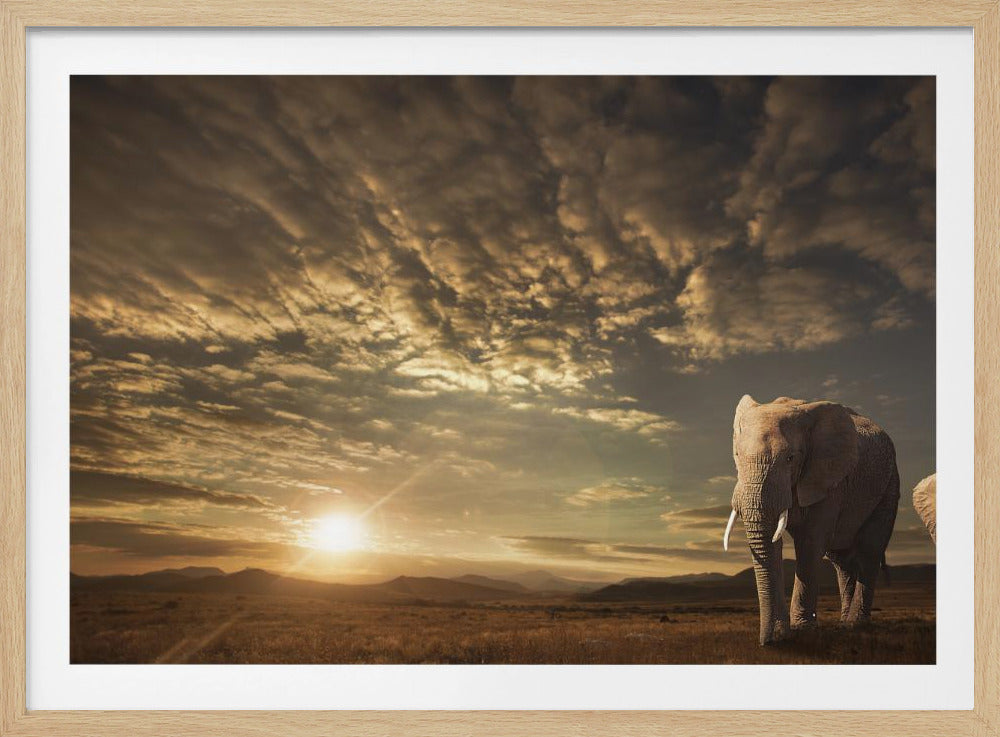 Walking in Savannah | Poster