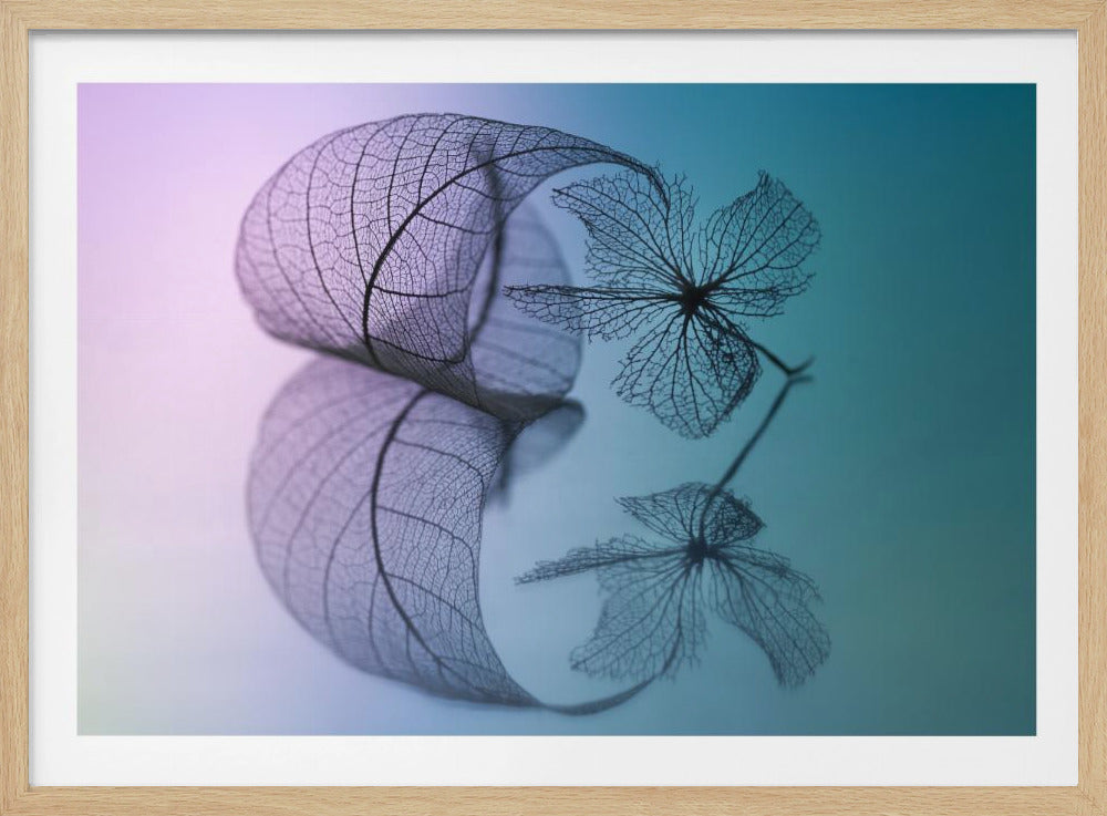 Story of leaf and flower | Poster