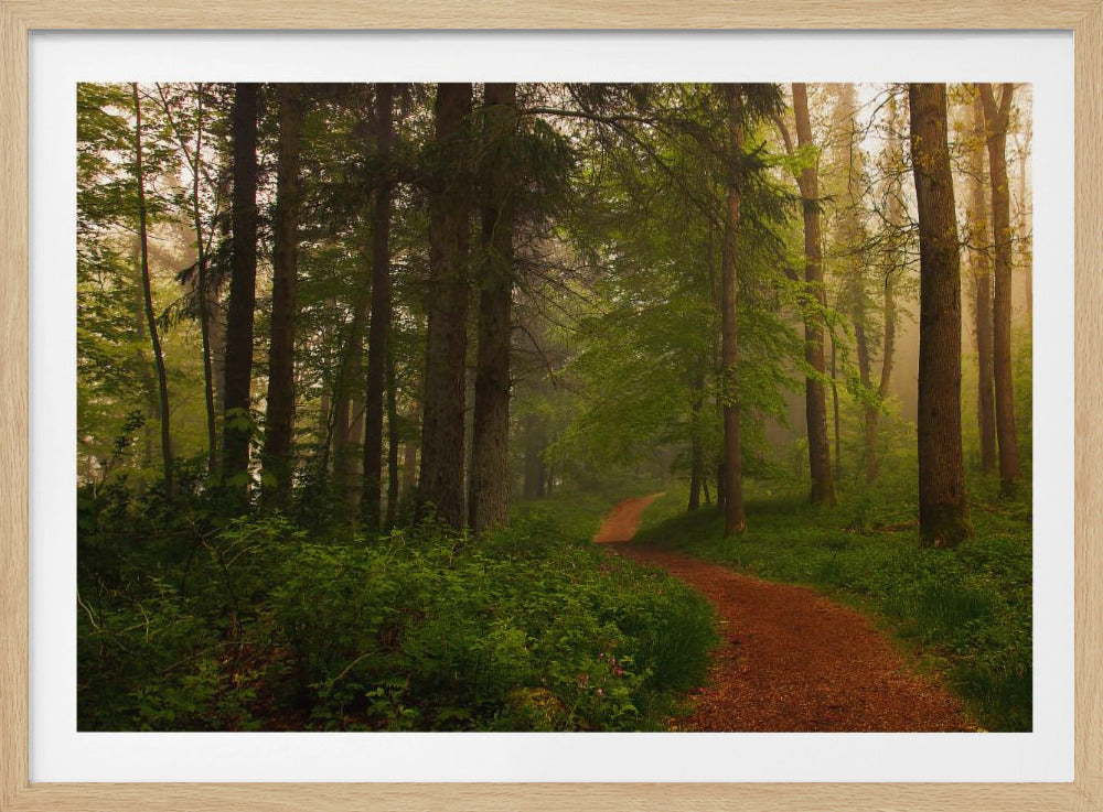 The Red Path. | Poster