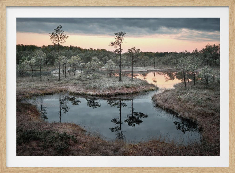 Spilled paint | Poster