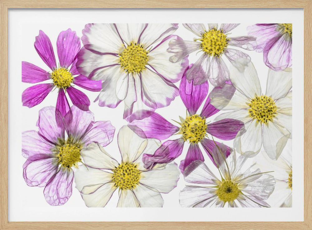 Keeping Summer | Poster