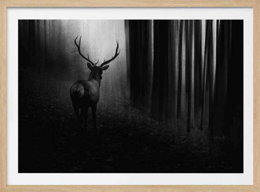Stag | Poster