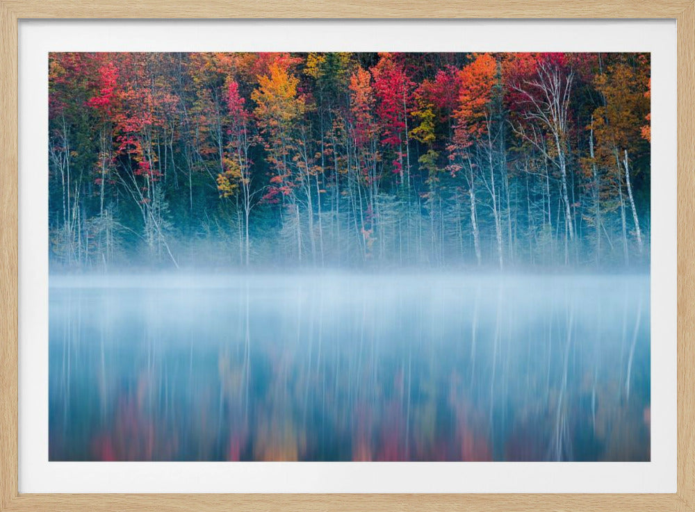 Morning Reflection | Poster