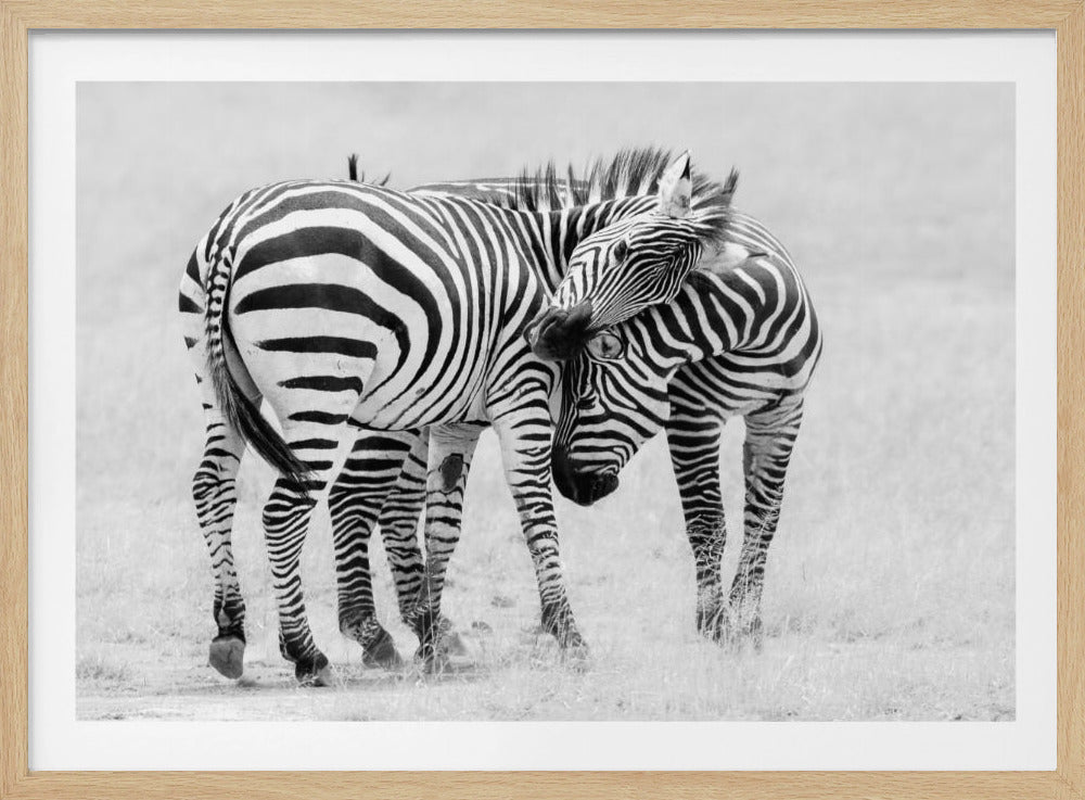 Tender Moment | Poster