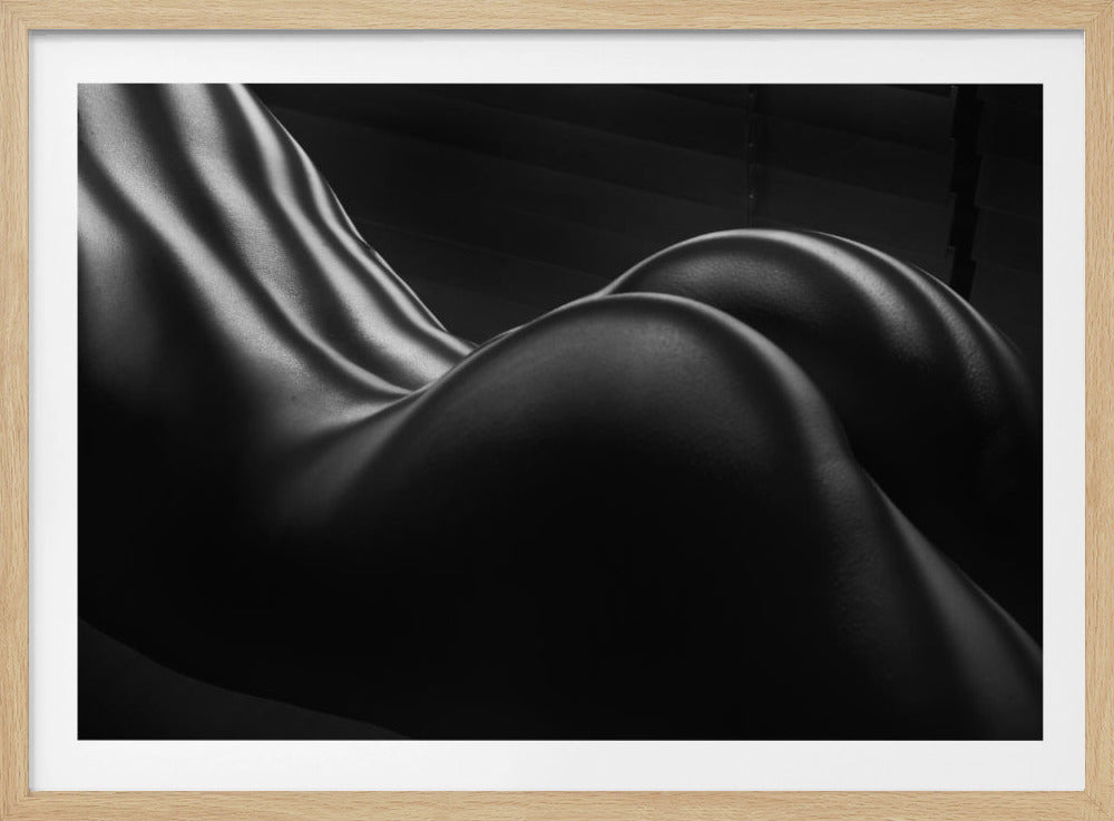 Body Zebra Stripes 5 | Poster