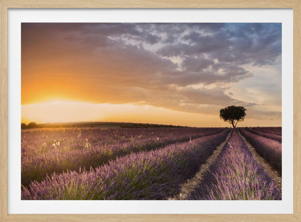 DESTINATION LAVENDER | Poster