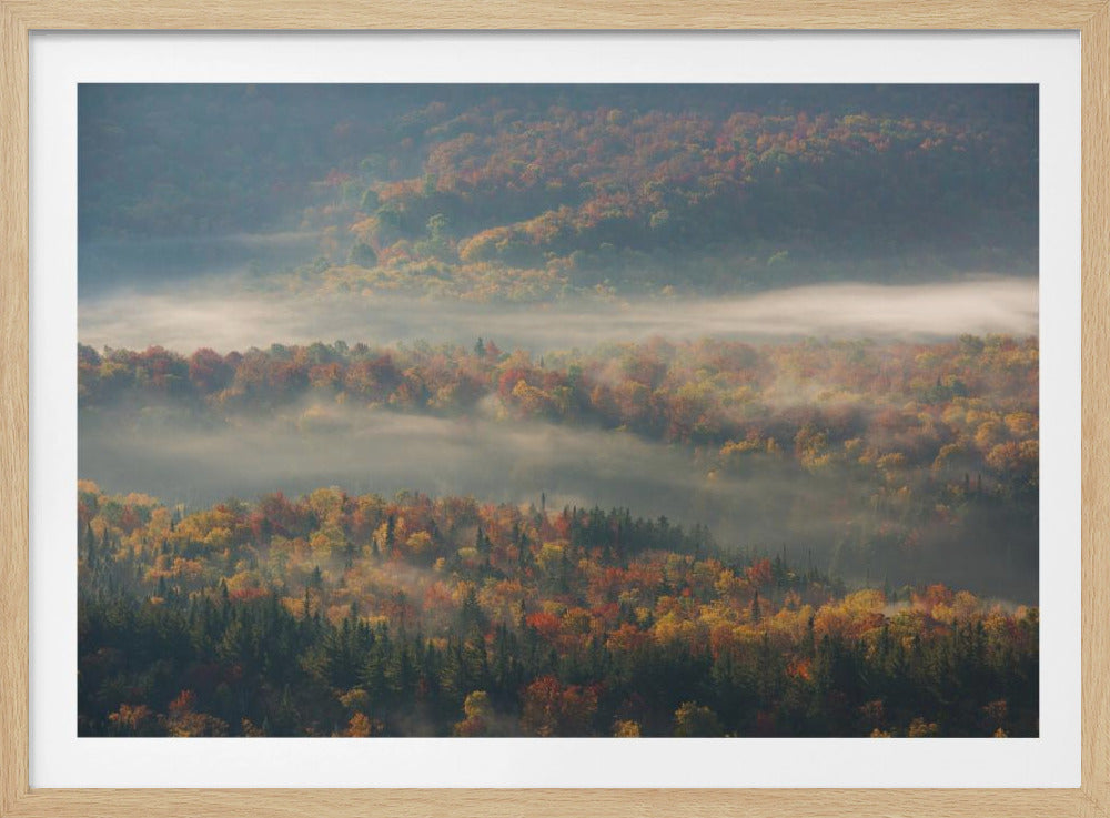 Misty Morning | Poster