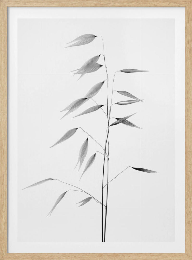 Sharpness of the nature | Poster