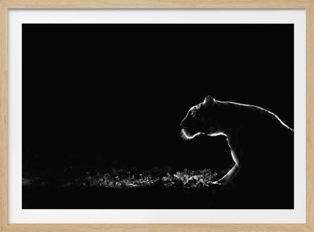 Untitled | Poster