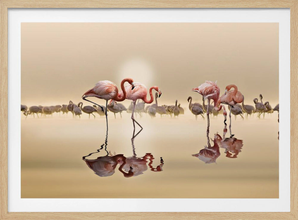 FLAMINGOS | Poster