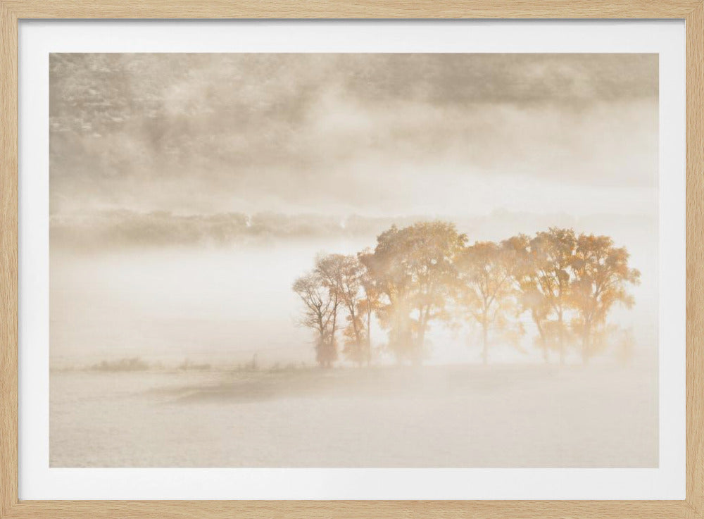 Autumn Dreams | Poster