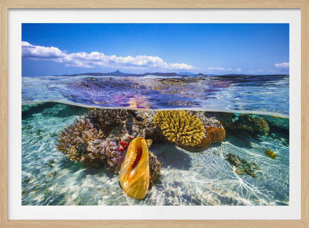 Lagoon life | Poster