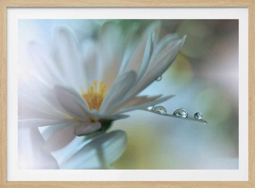 Light touch... | Poster