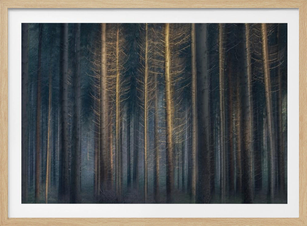 In the afternoon | Poster