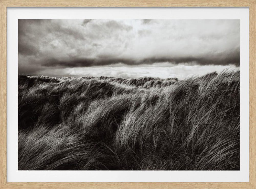 Dunes of grass | Poster