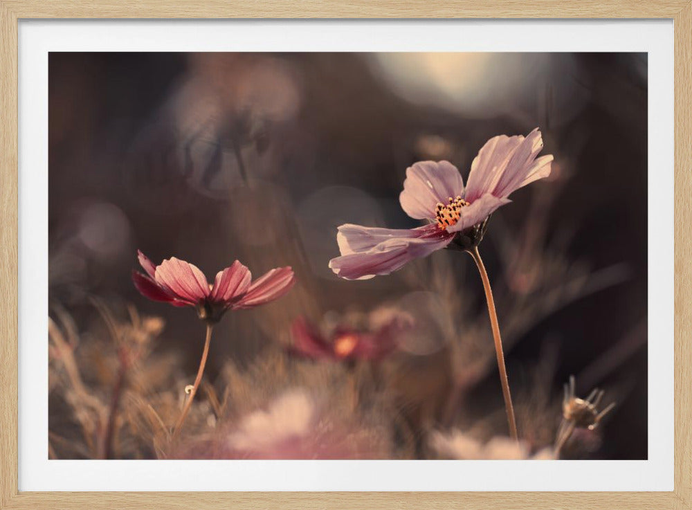 Flowers of innocence | Poster