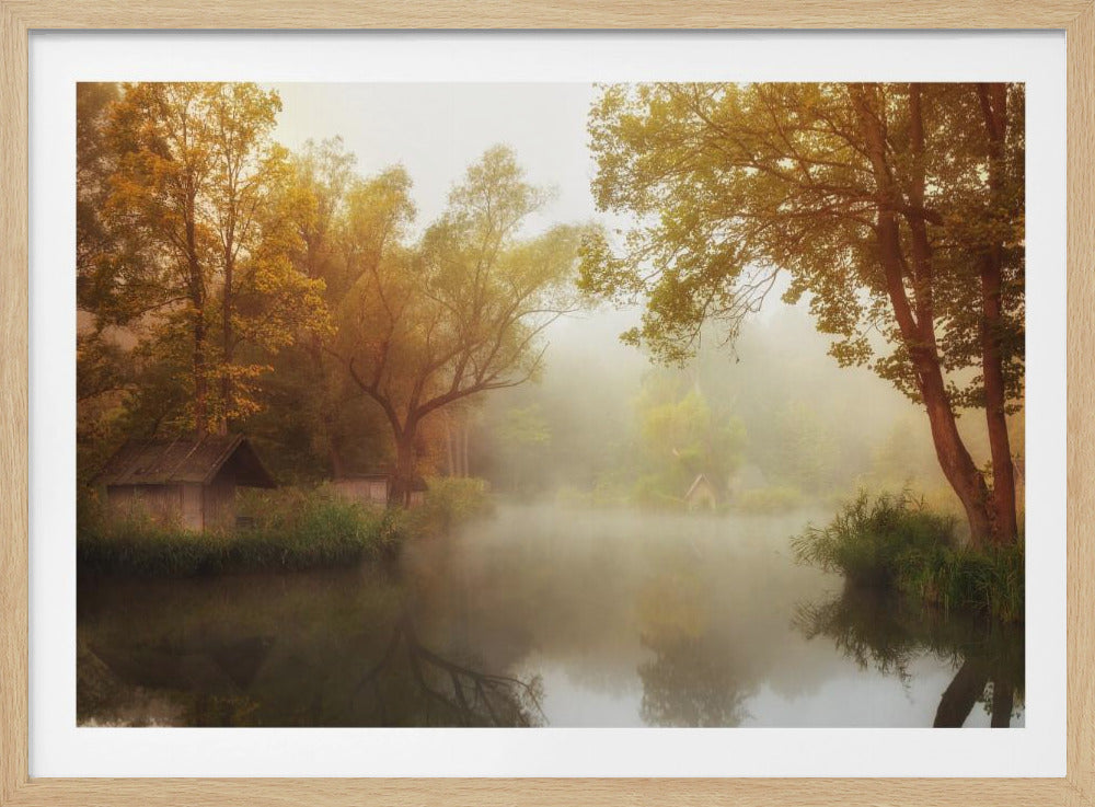 Foggy Autumn | Poster