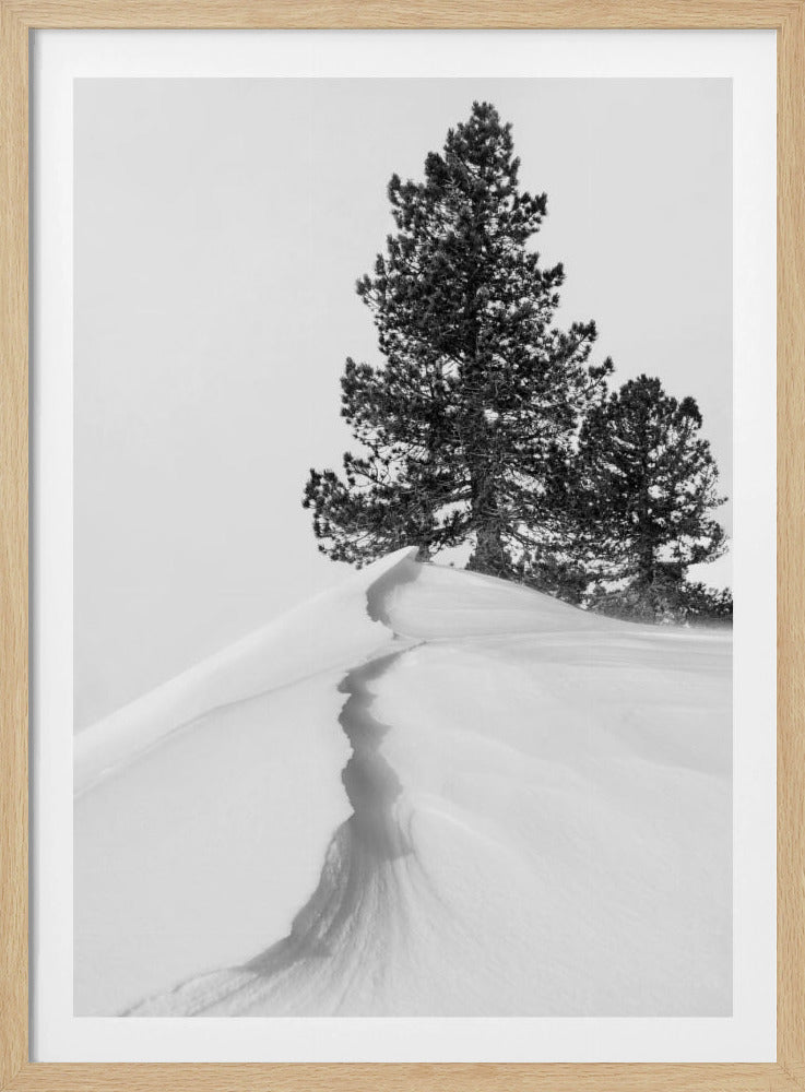 About the snow and forms | Poster