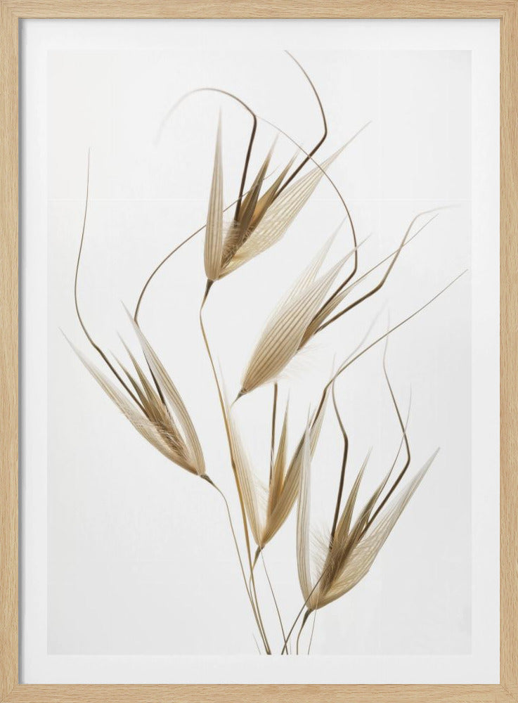 Delicacy of nature | Poster