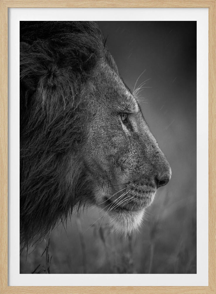 Thinking Under The Rain | Poster