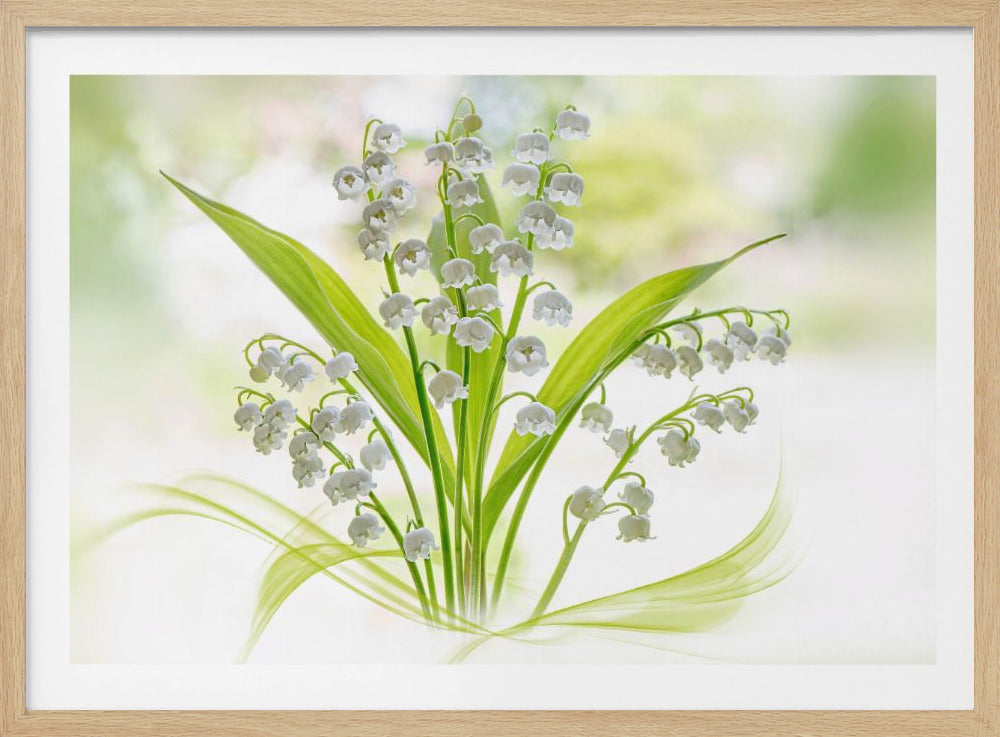 Lily of the valley | Poster