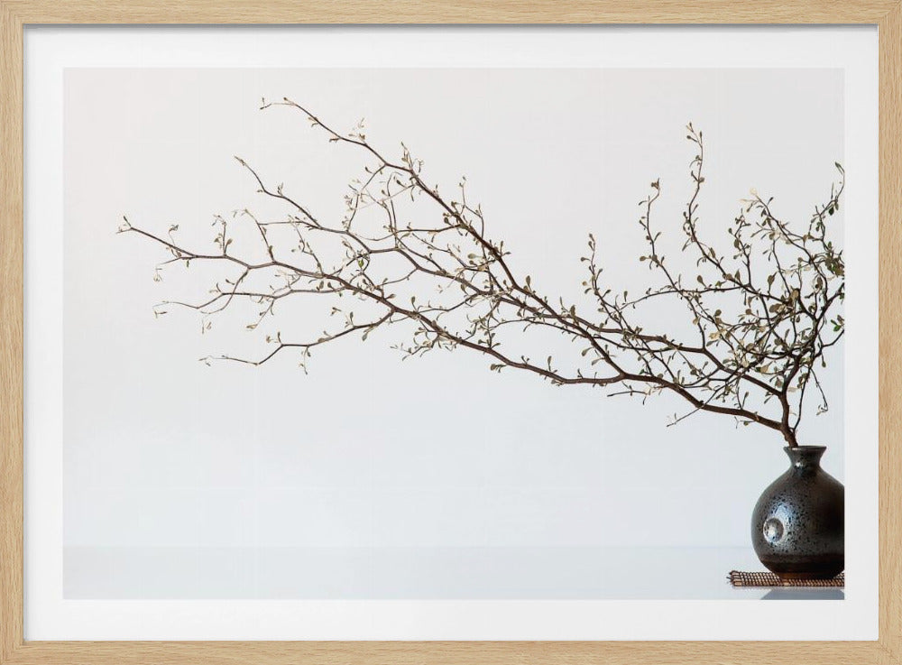 Vase And Branch | Poster