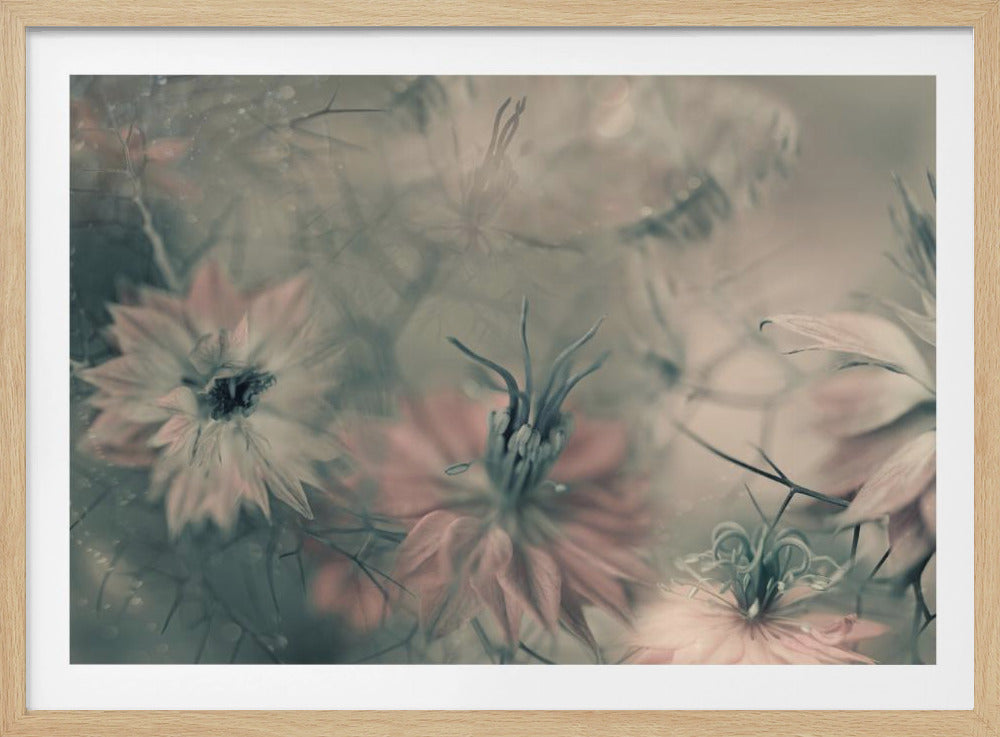 The virgins ll | Poster