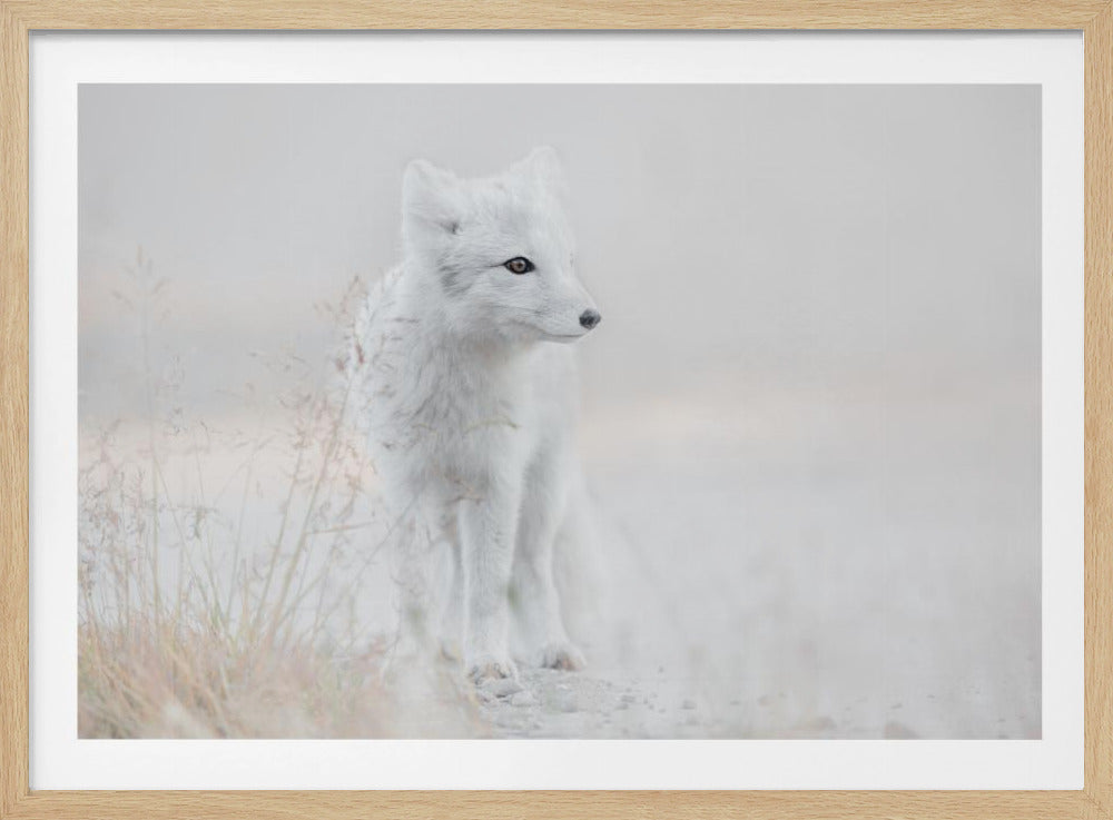 Looking around | Poster