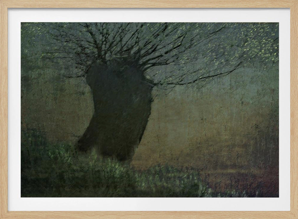 Willow on the waterfront | Poster