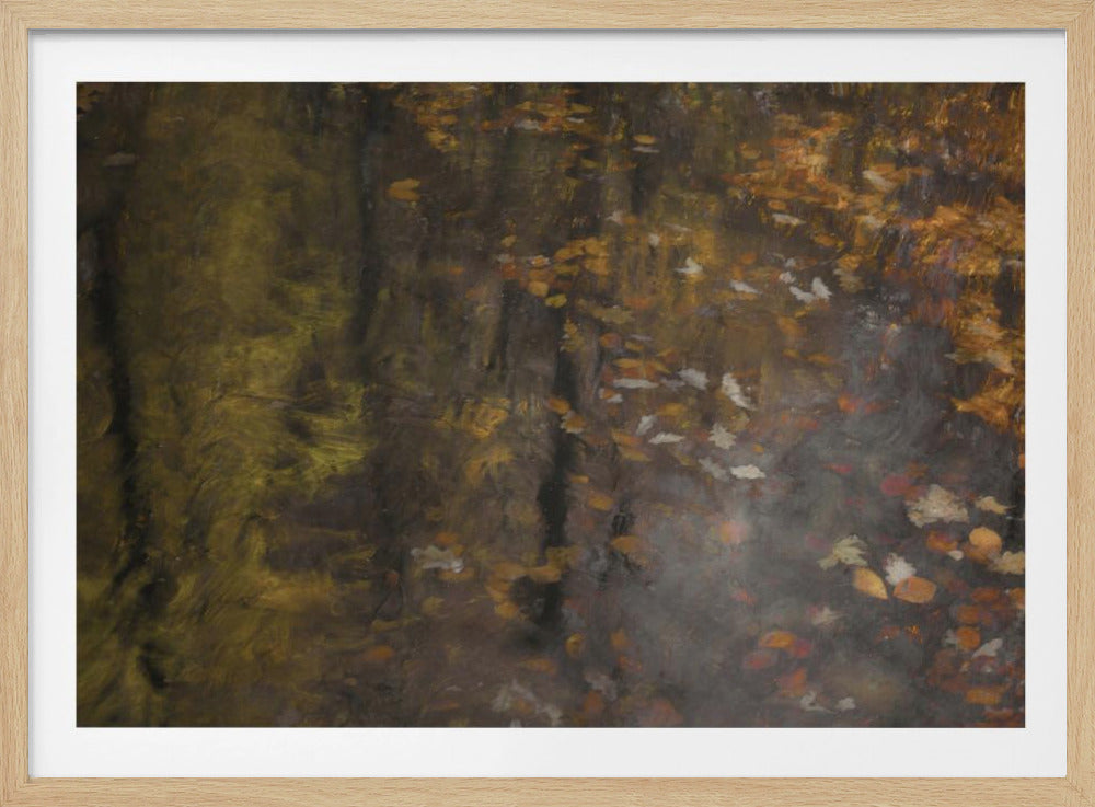 Autumn impression | Poster