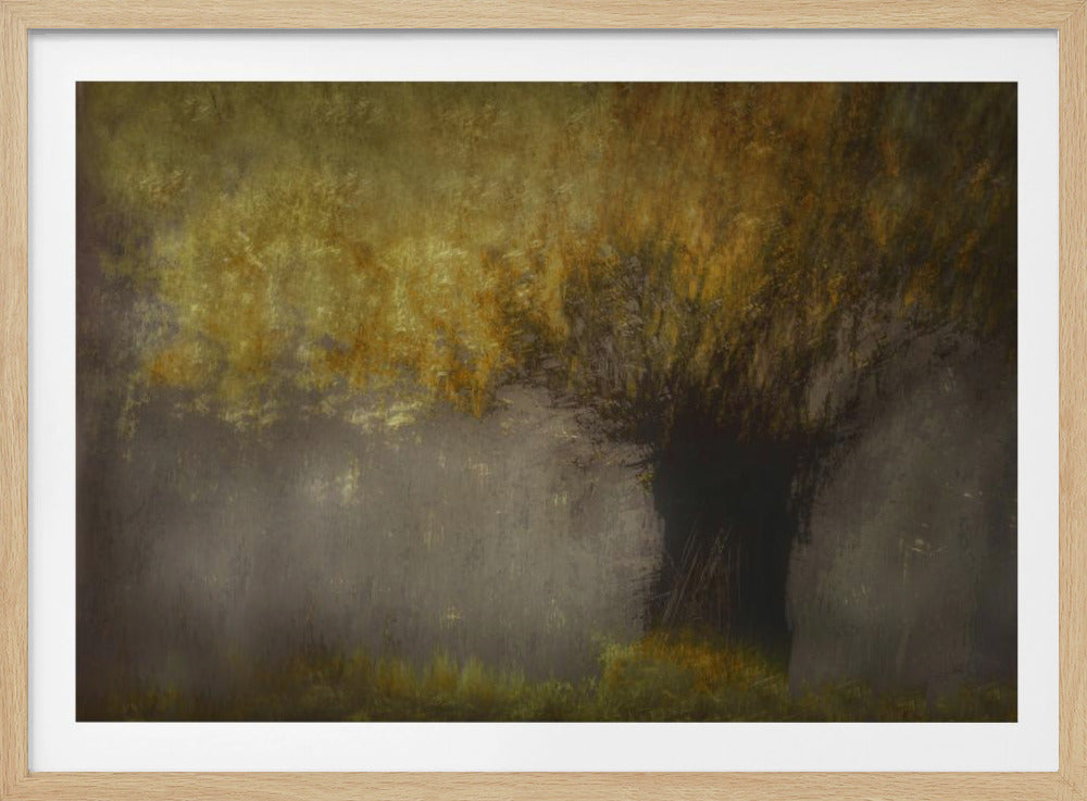 Pollard willow | Poster