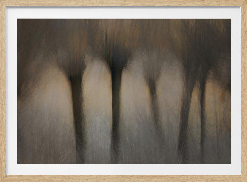 Pollard willows | Poster