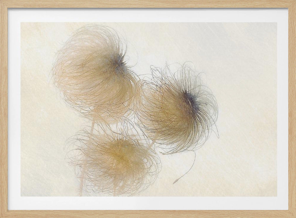 In the wind | Poster