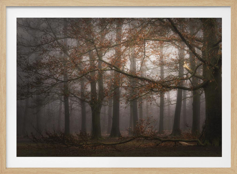 Foggy memory of the past | Poster
