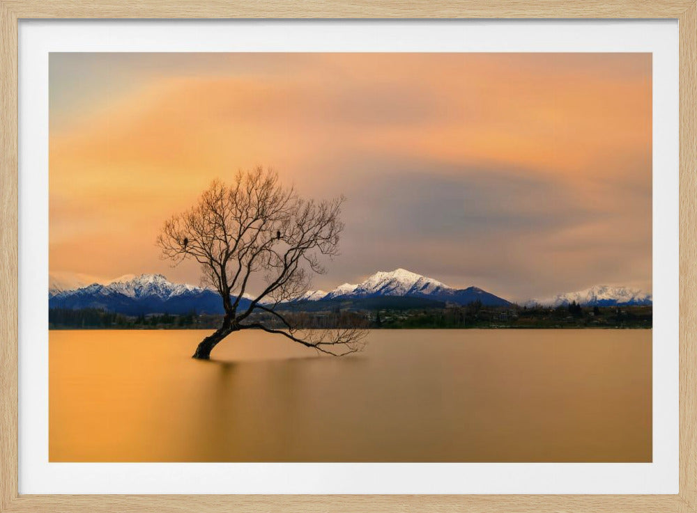 Morning glow of the Lake Wanaka | Poster
