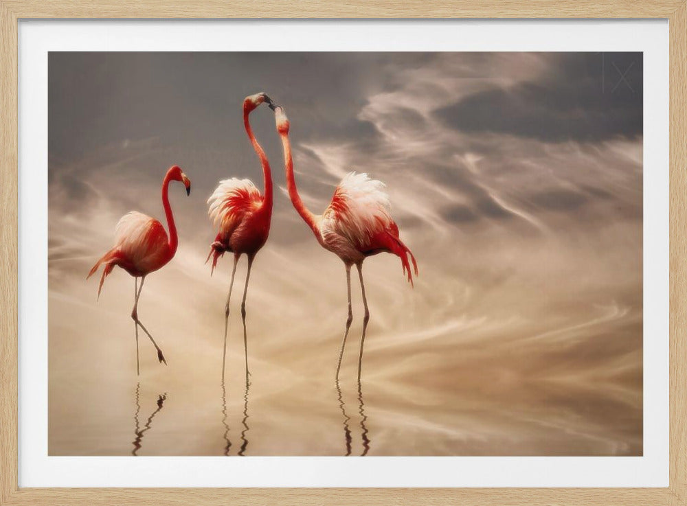 fighting ... | Poster