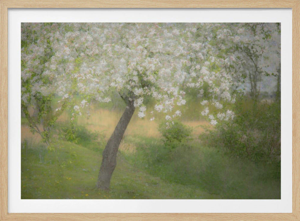 In the garden | Poster