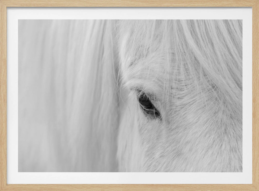 Whisper of Iceland | Poster