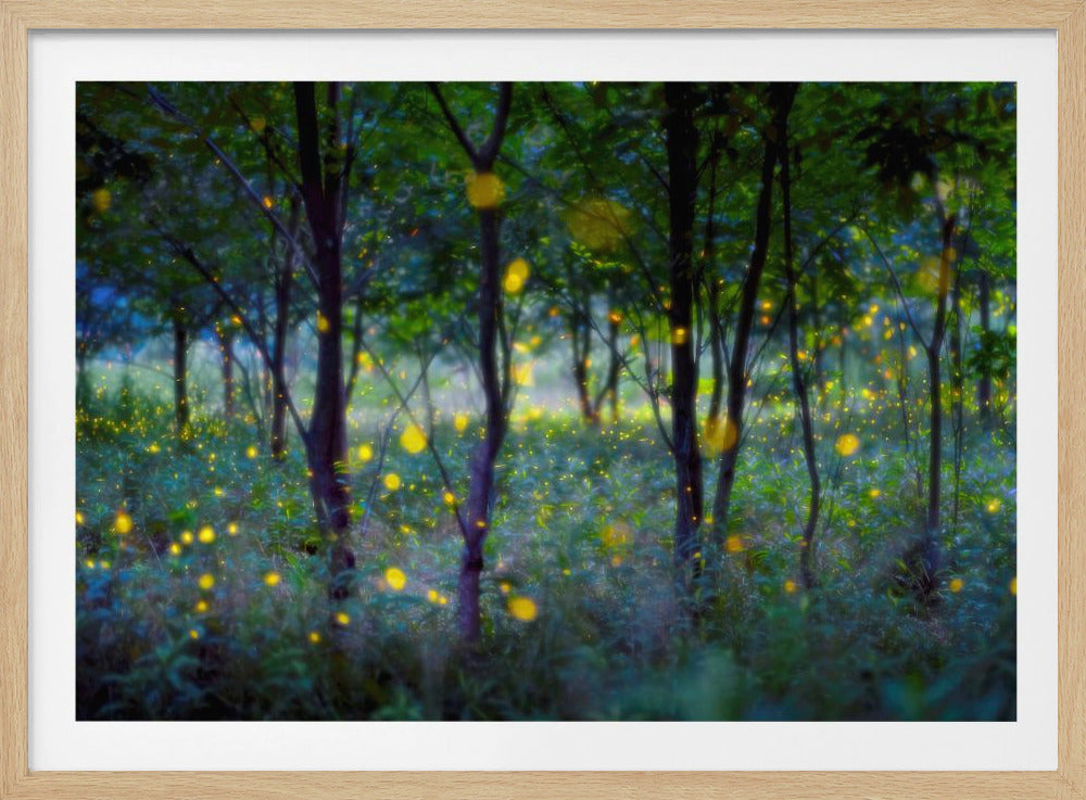 Magic fireflies | Poster