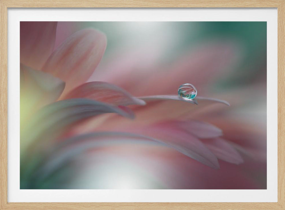 Sunbeam..II | Poster