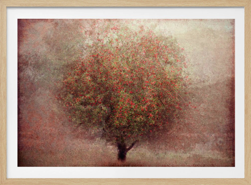 Apple tree | Poster