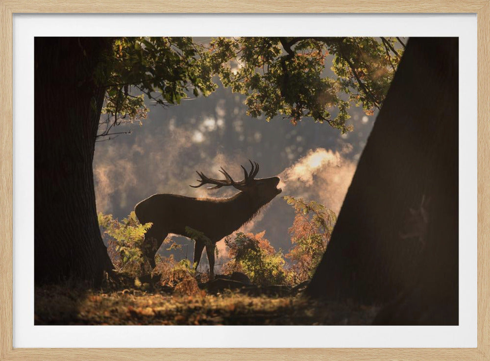 He Waits in the Shadows | Poster