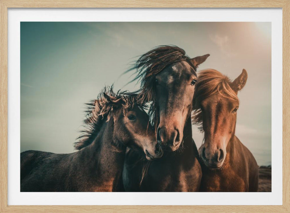 Family portrait | Poster