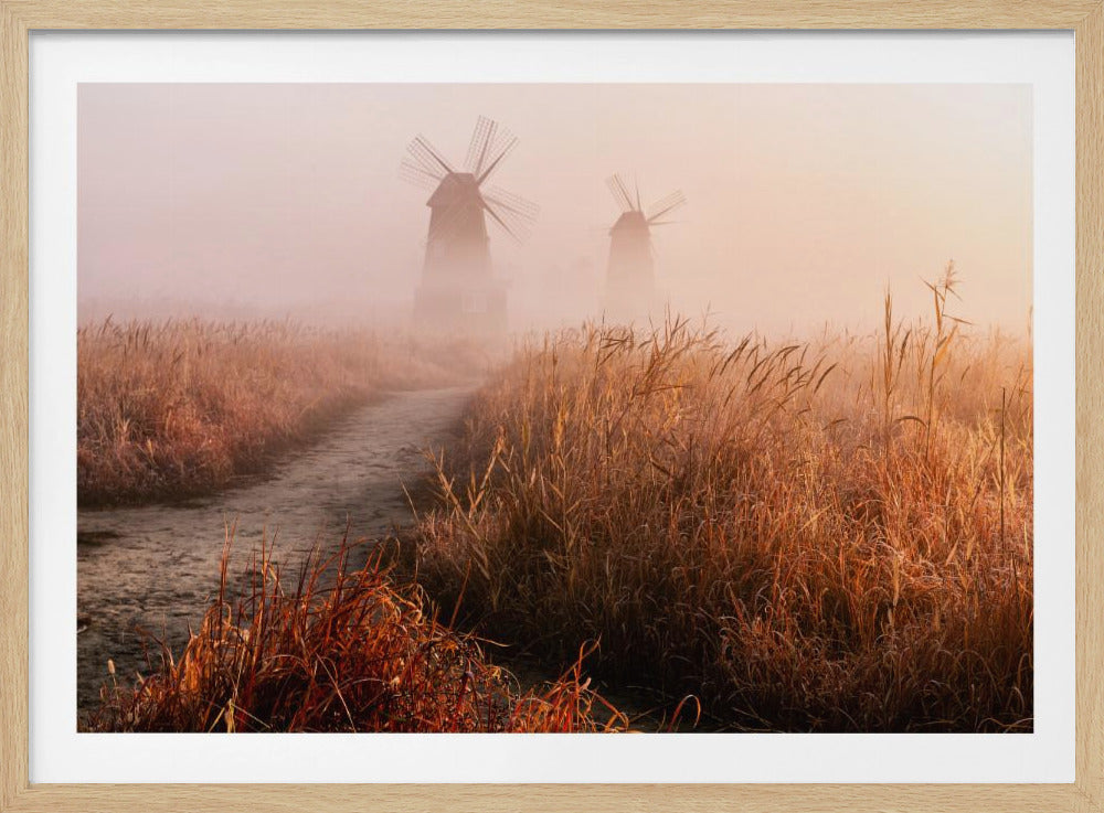 Morning mist | Poster