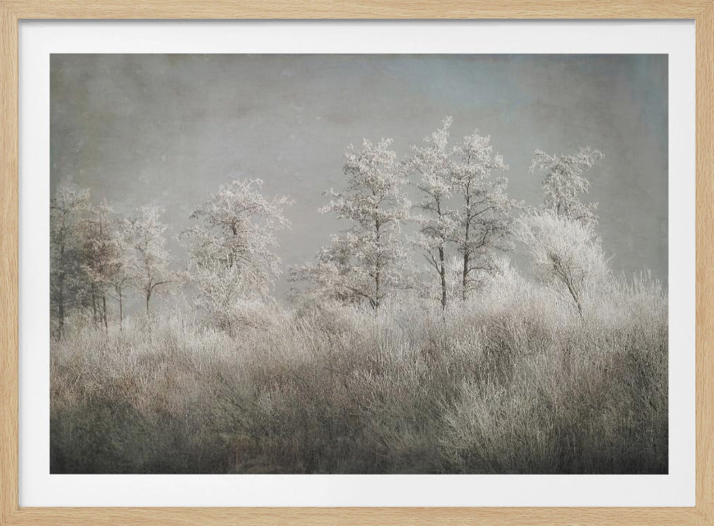 Cold morning | Poster