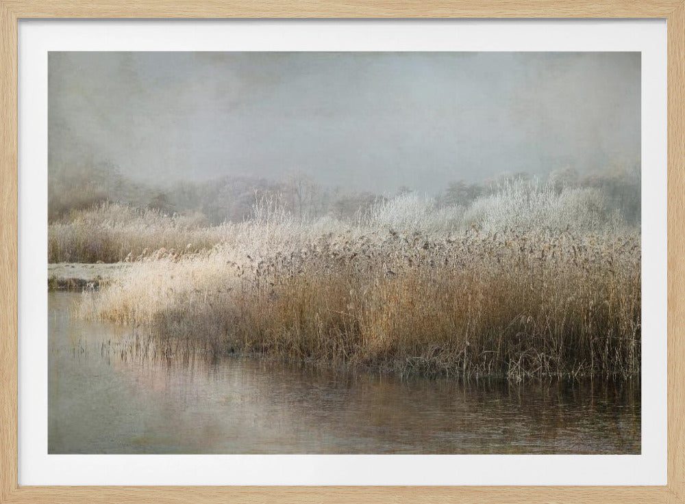 Wintermorning | Poster