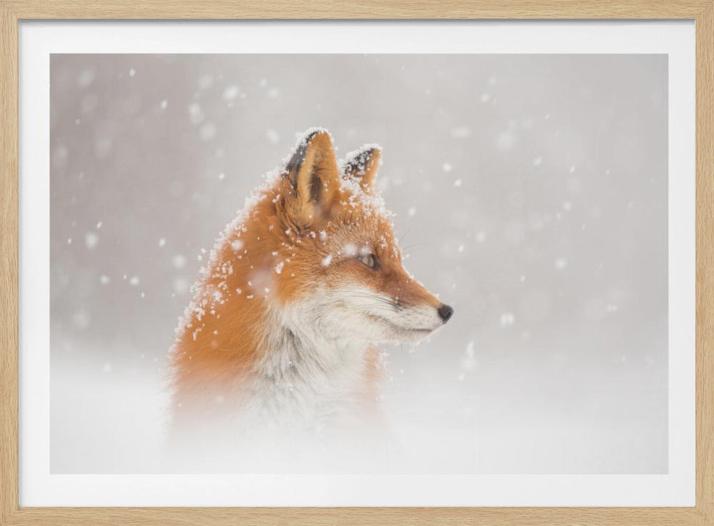 Snow is falling… | Poster