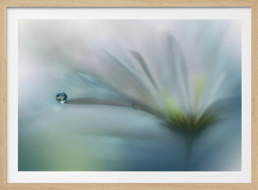 Fields of Hope.. | Poster