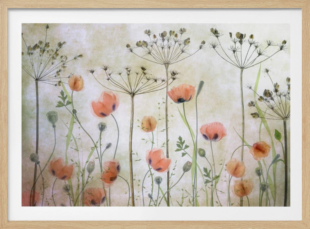 Poppy Meadow | Poster